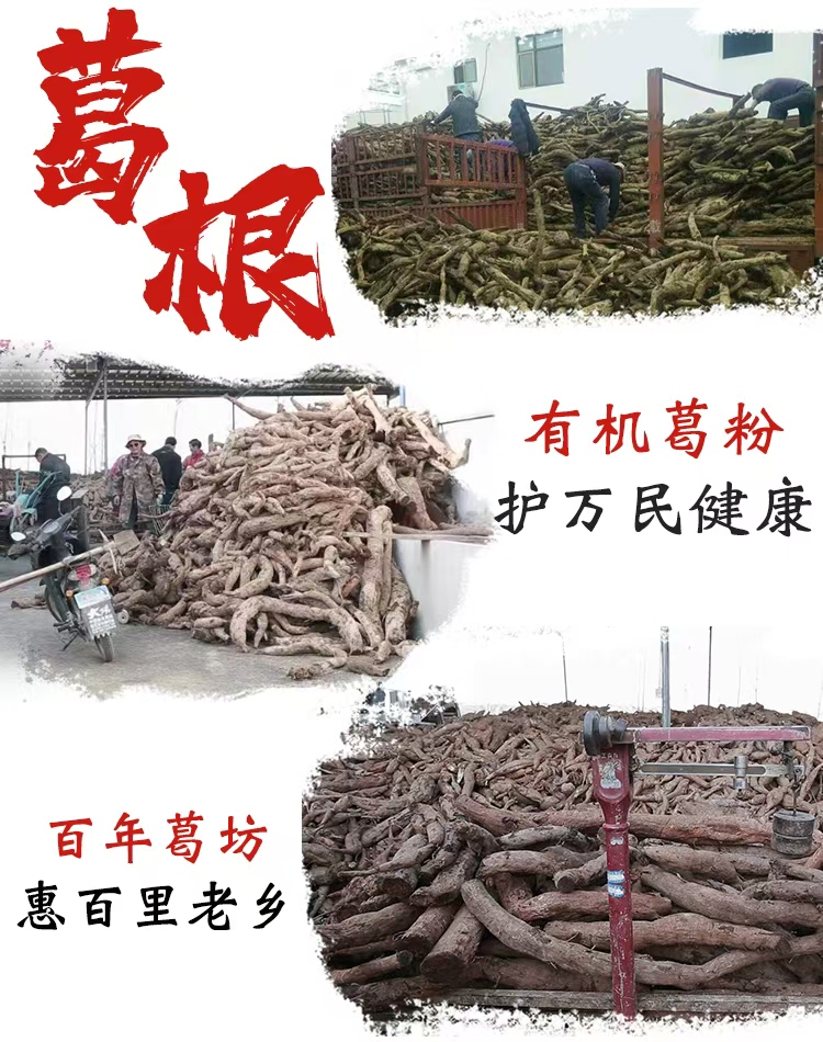 1746347612687858.jpg 收葛根圖.jpg