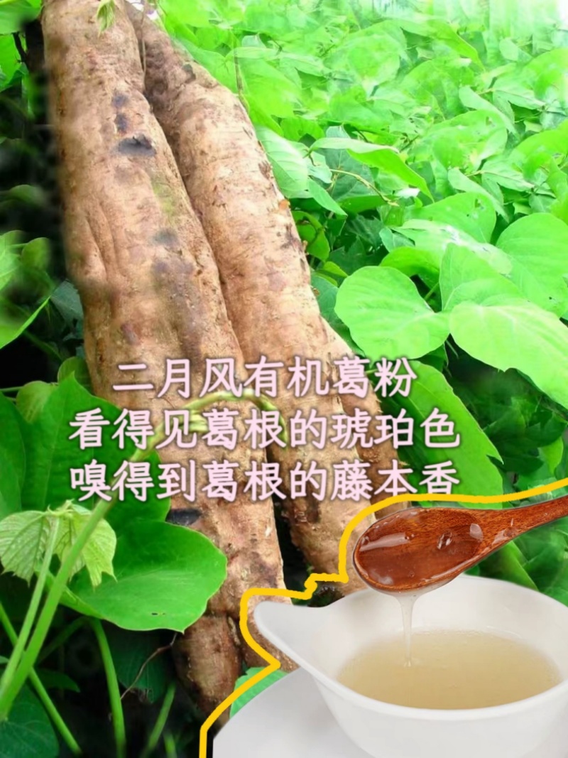 二月風(fēng)有機(jī)葛粉，看得見葛根的琥珀色，嗅得到葛根的藤本香_800.jpg