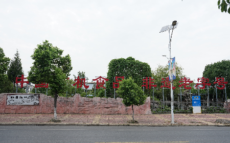 當(dāng)定制葛粉時(shí)，我們真正在選擇什么？