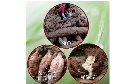 買葛粉是買野生的好？還是野生有機的好？