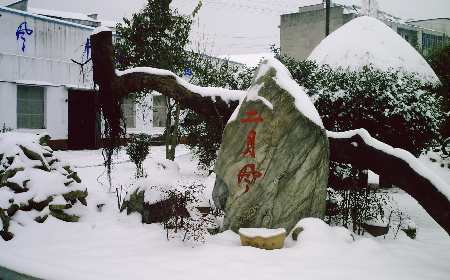 二月風(fēng)致老友：一碗葛根粉的牽掛，農(nóng)博會(huì)上的重逢之約二月風(fēng)盼老友：農(nóng)博會(huì)上，再續(xù)葛粉情緣