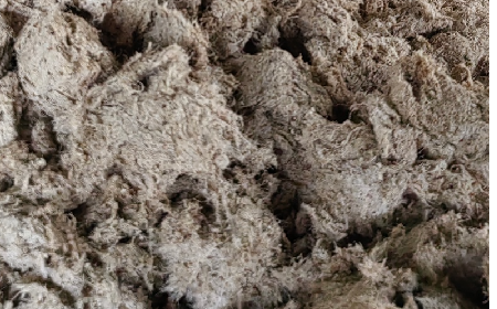 深入大洪山，只為一口純凈 -二月風(fēng)今冬野生葛根收購紀(jì)實(shí)